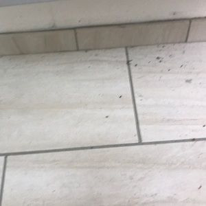 Meet your Posher, Mitchell